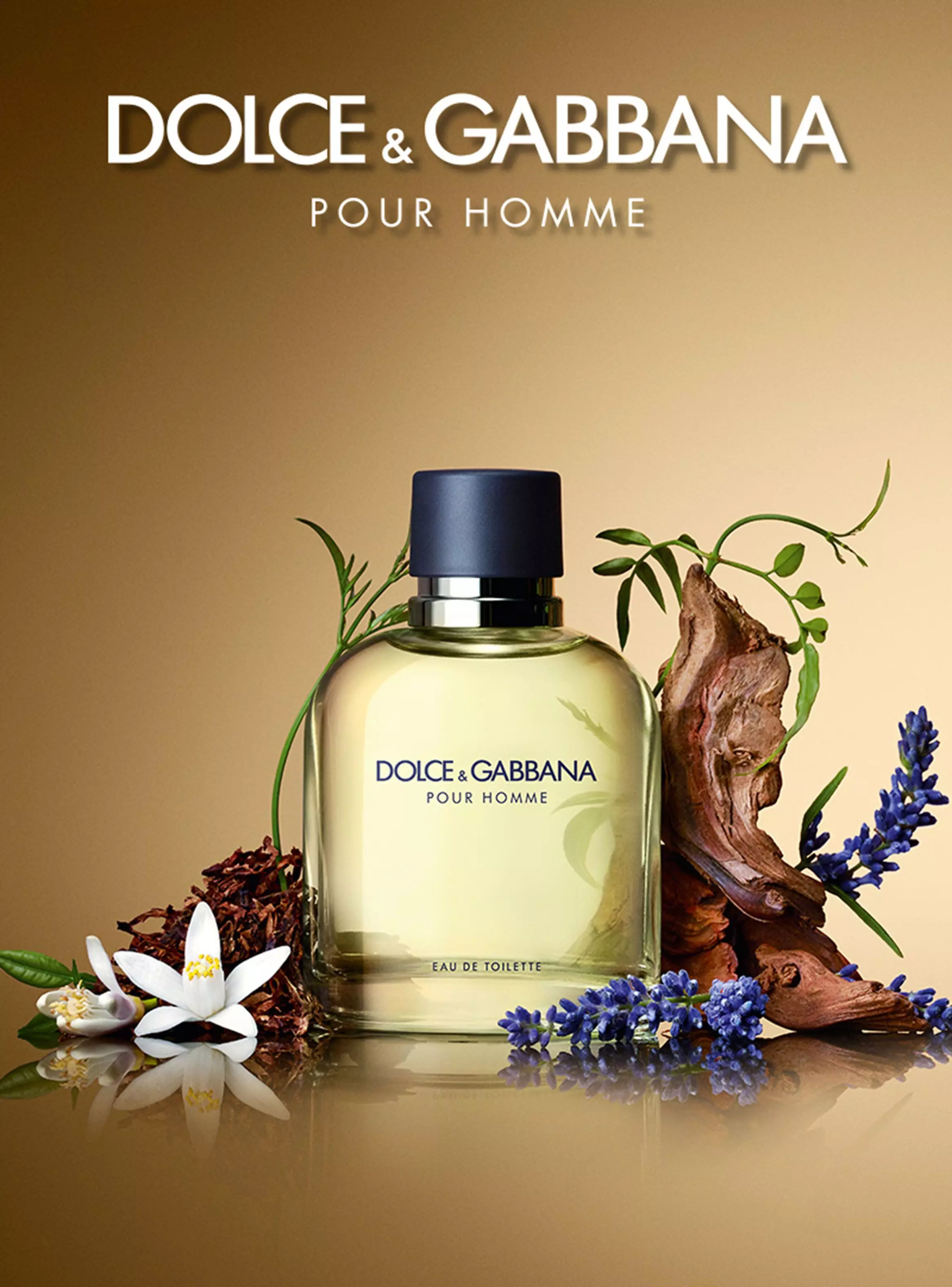 Dolce&Gabbana Pour Homme 🍋🪻🍂